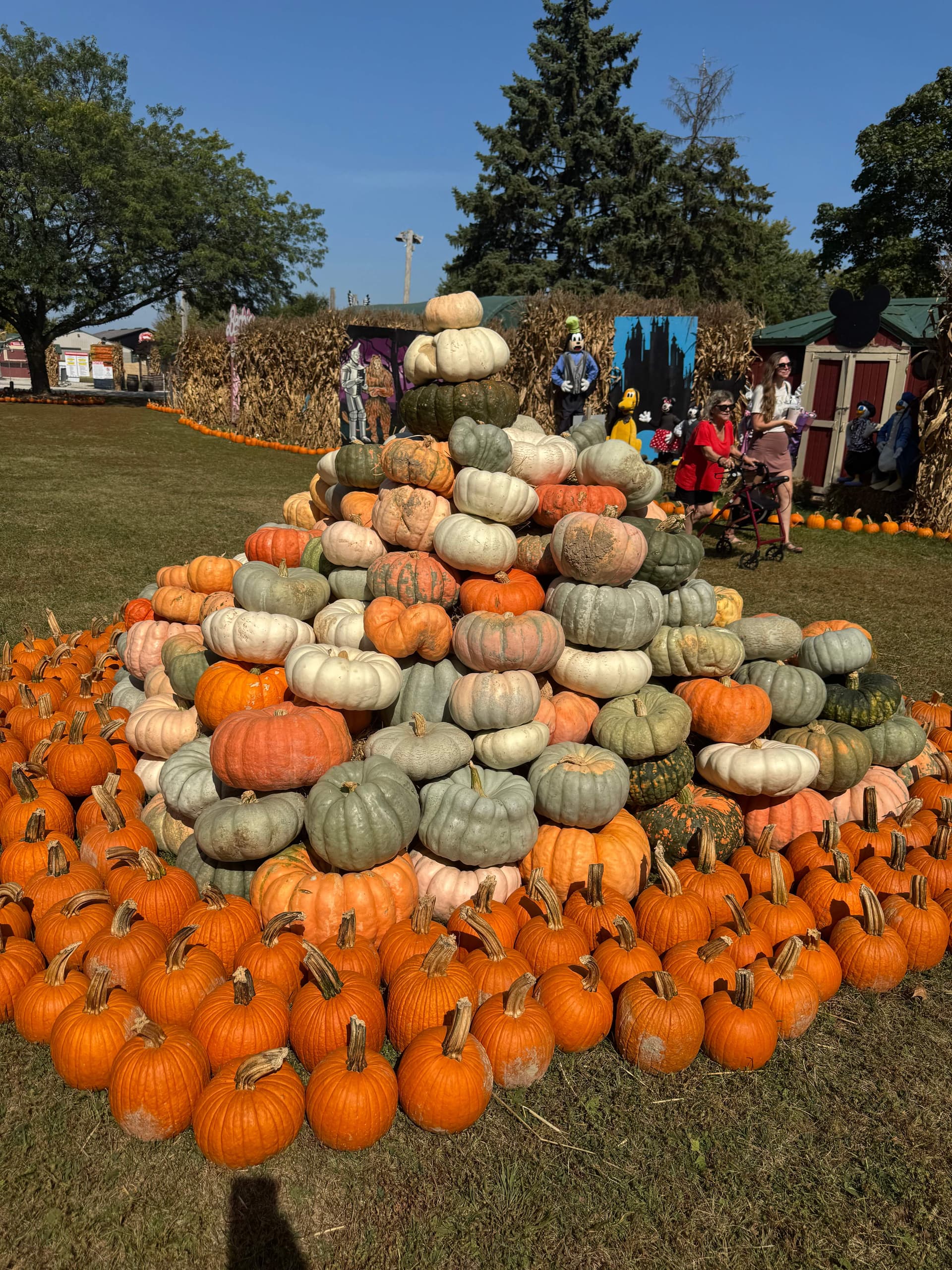 Family in pumpkin patch