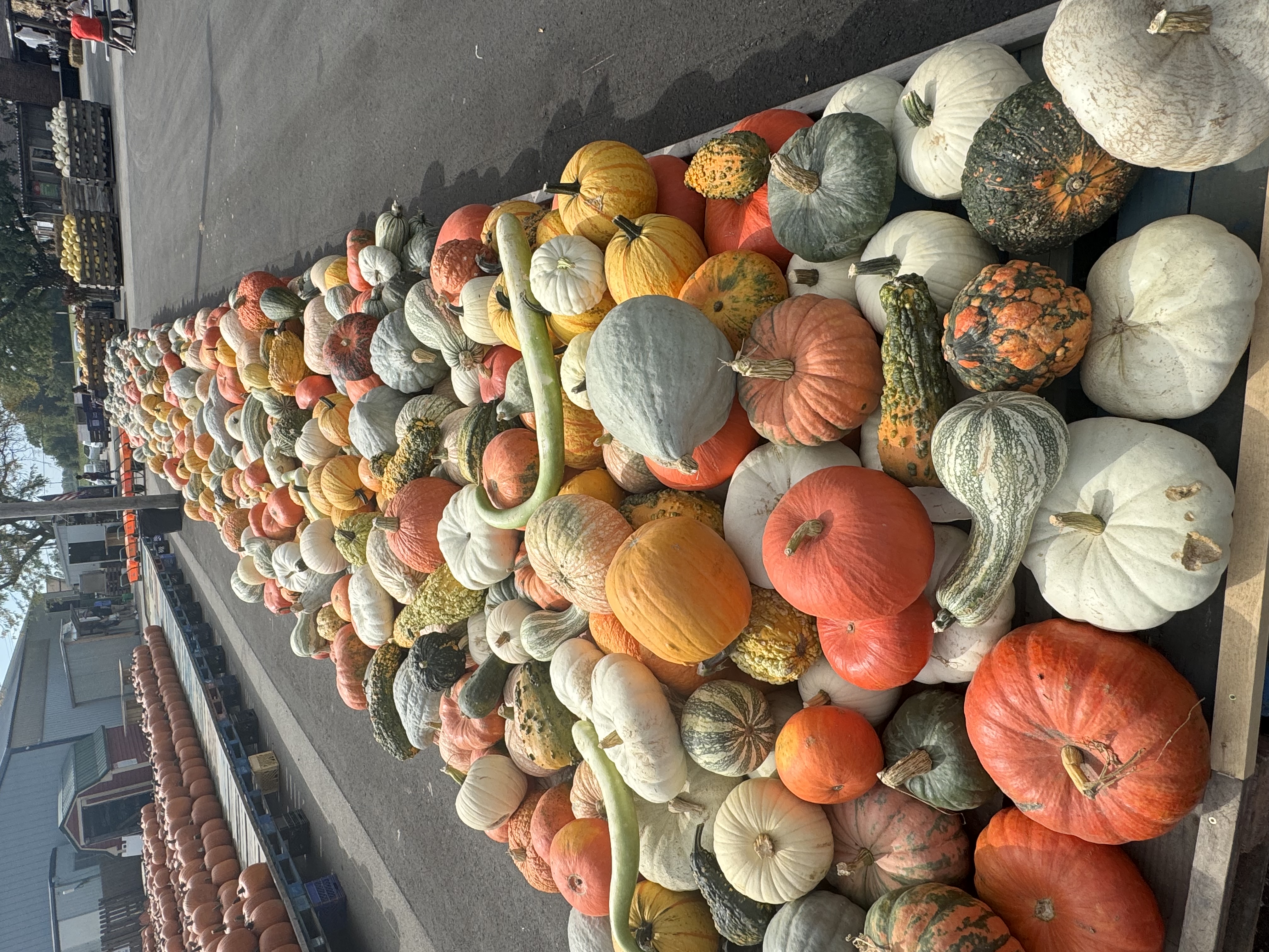 Pumpkins