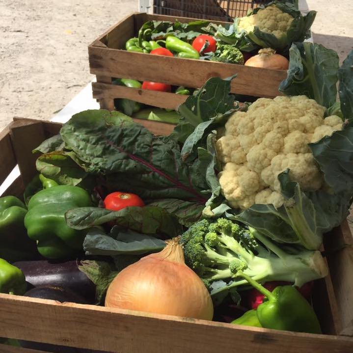 Crop box | Jerry Smith Farm