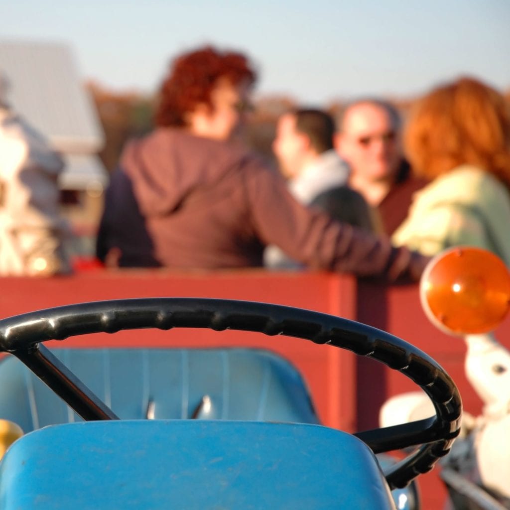 Hayride In The Country