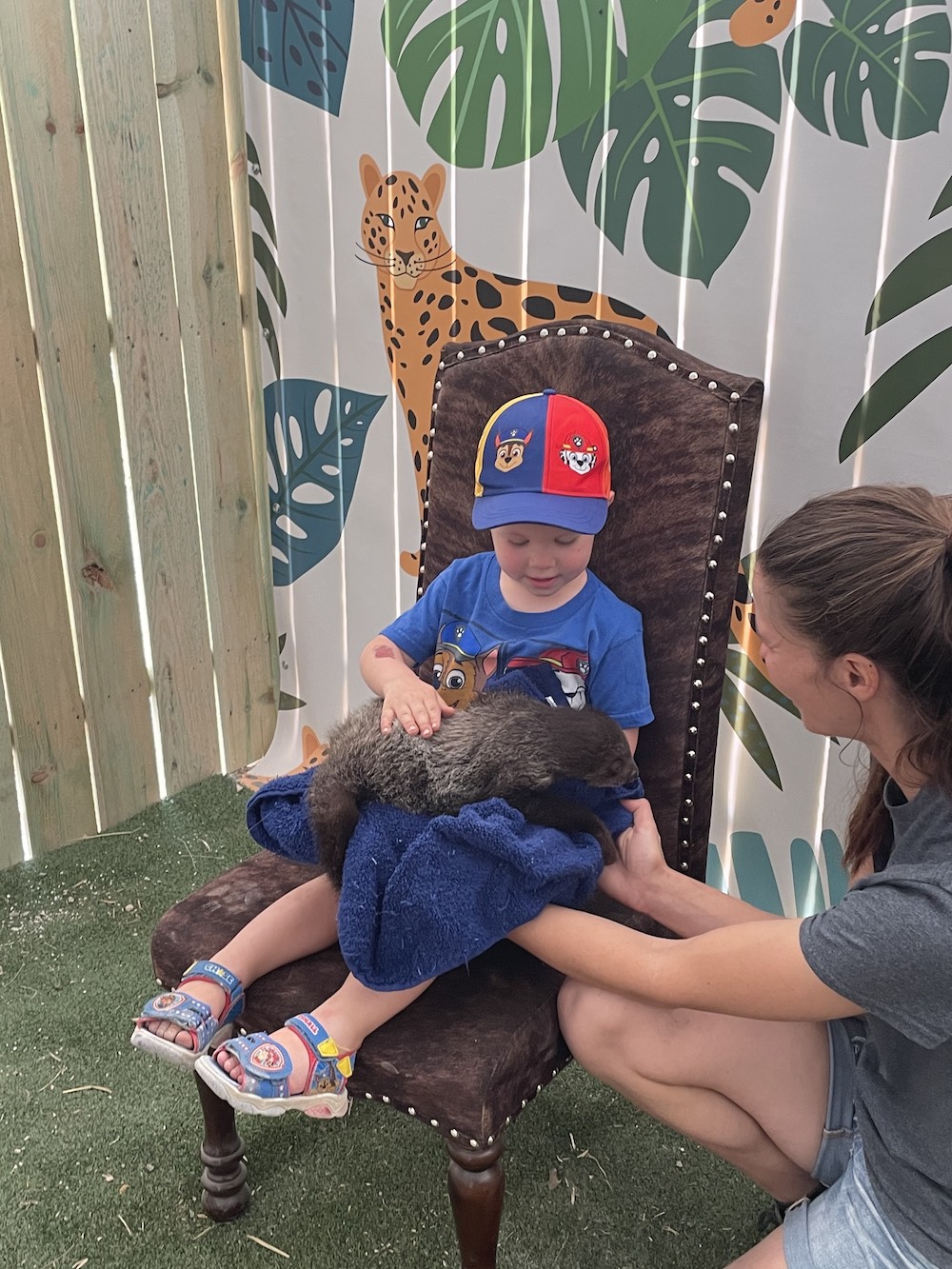 Jerry Smith Farm Sloth Encounter 2022 Jerry Smith Farm Sloth Encounter 2022