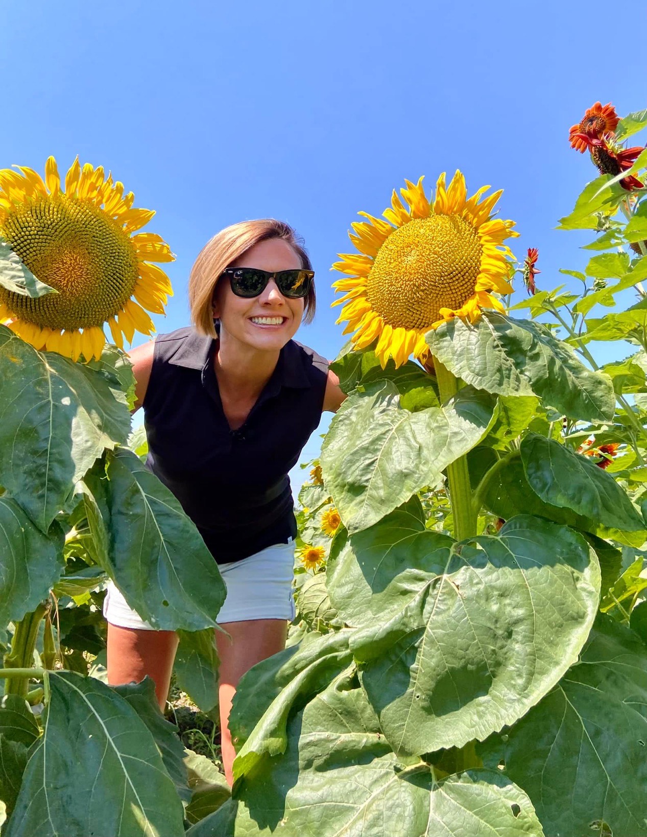 CBS Nicole Koglin at Jerry Smith Farm