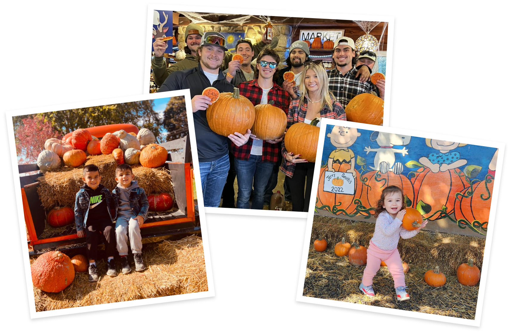 Collage of Fall at the Farm Images Collage of Fall at the Farm Images