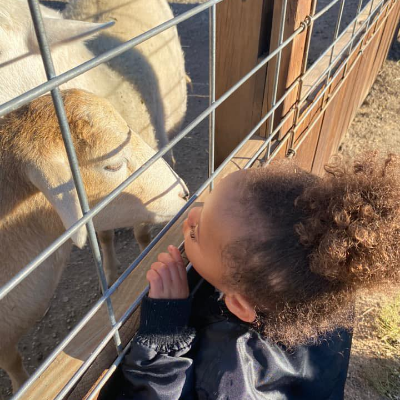 Jerry Smith Petting Zoo Jerry Smith Petting Zoo
