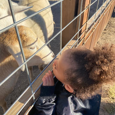 Jerry Smith Petting Zoo