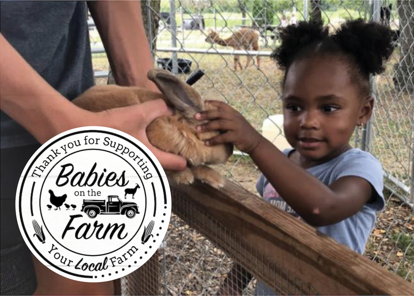 Babies On The Farm Card