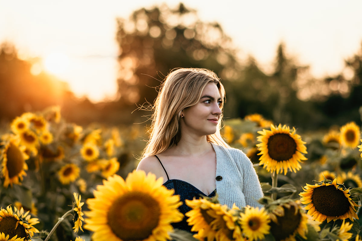 Sunflower Fields Open - Jerry Smith Produce & Pumpkin Farm