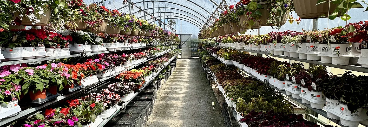 Green Acres Garden & Produce Green Acres Garden & Produce