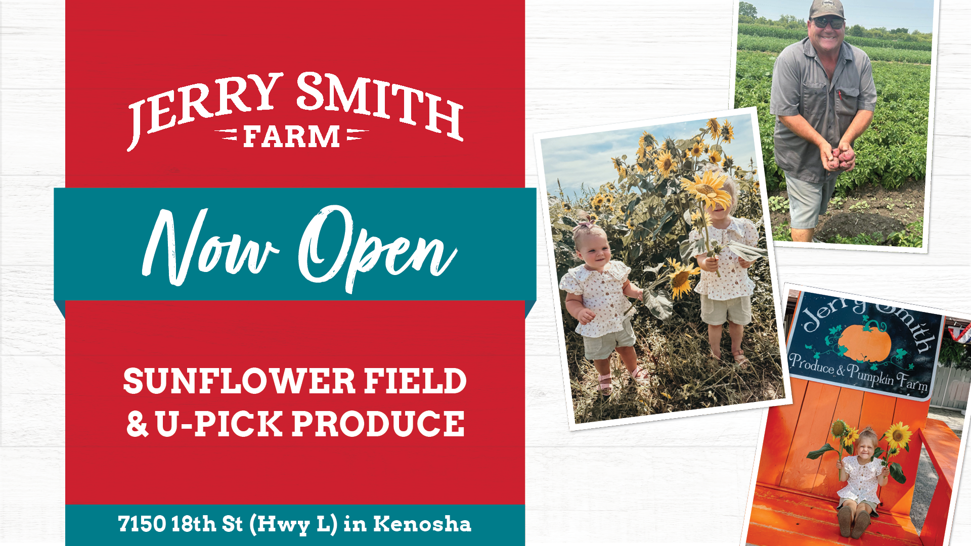 Js Sunflower Upick 080625
