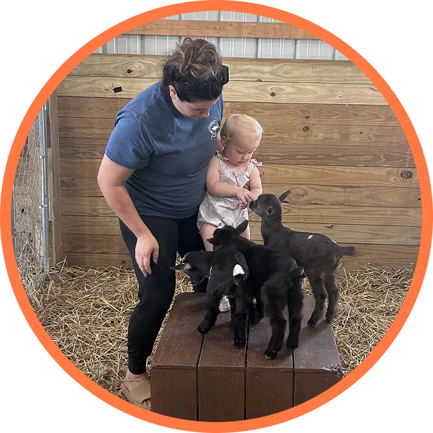 Petting Zoo