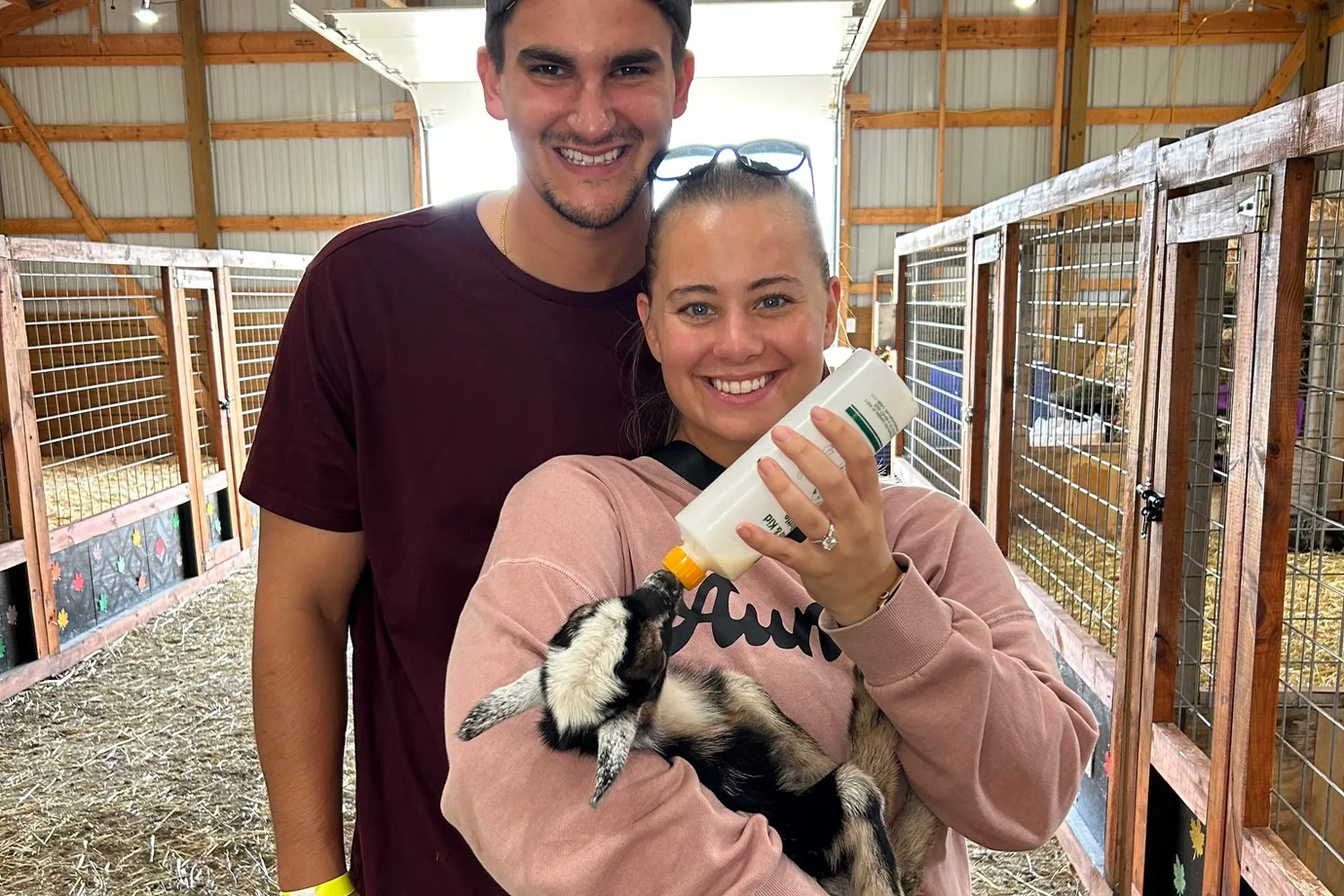 Petting Zoo Petting Zoo